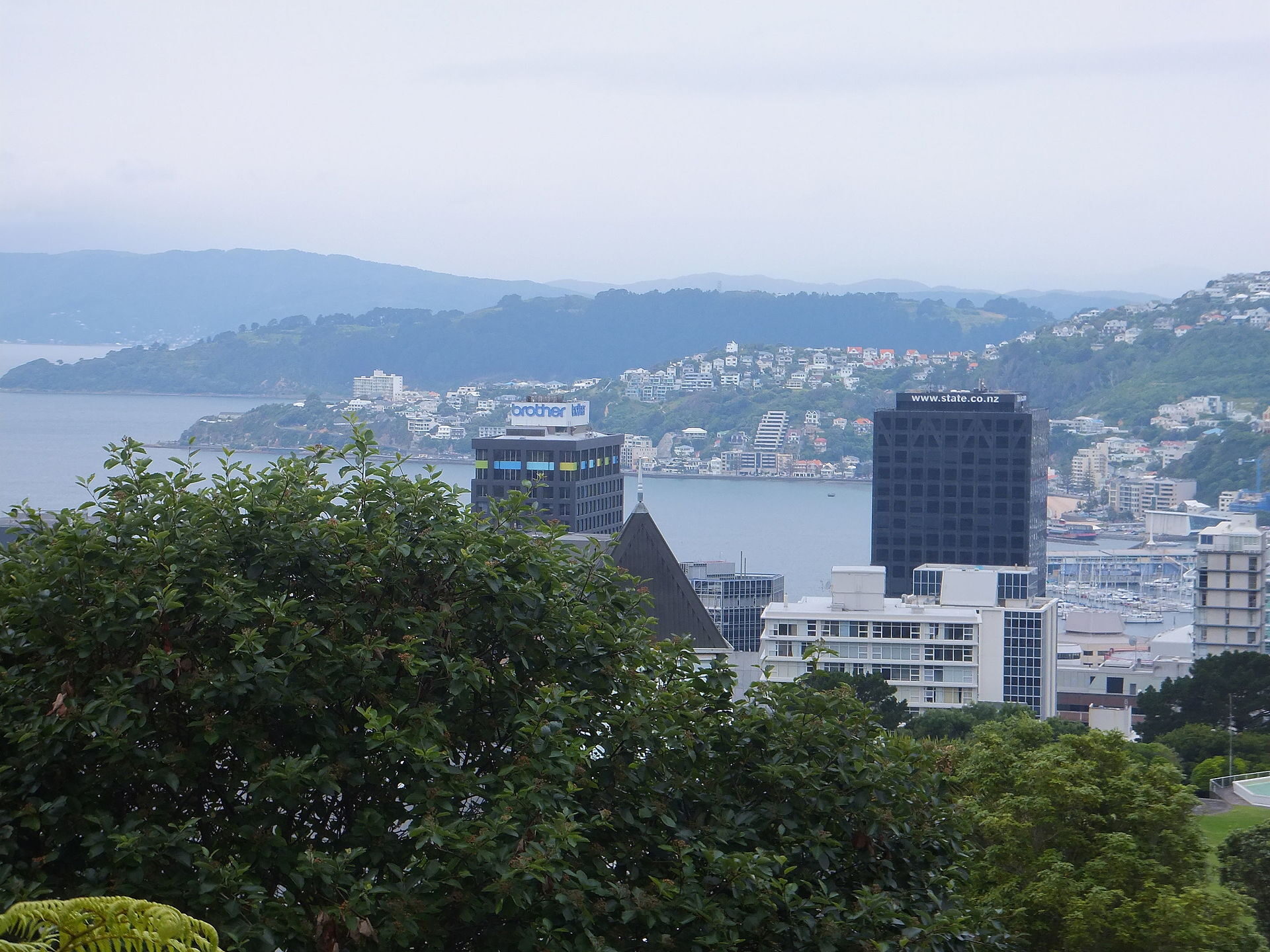 Wellington, capitale della Nuova Zelanda Di Gruyere - Opera propria, CC BY-SA 3.0, https://commons.wikimedia.org/w/index.php?curid=19943342