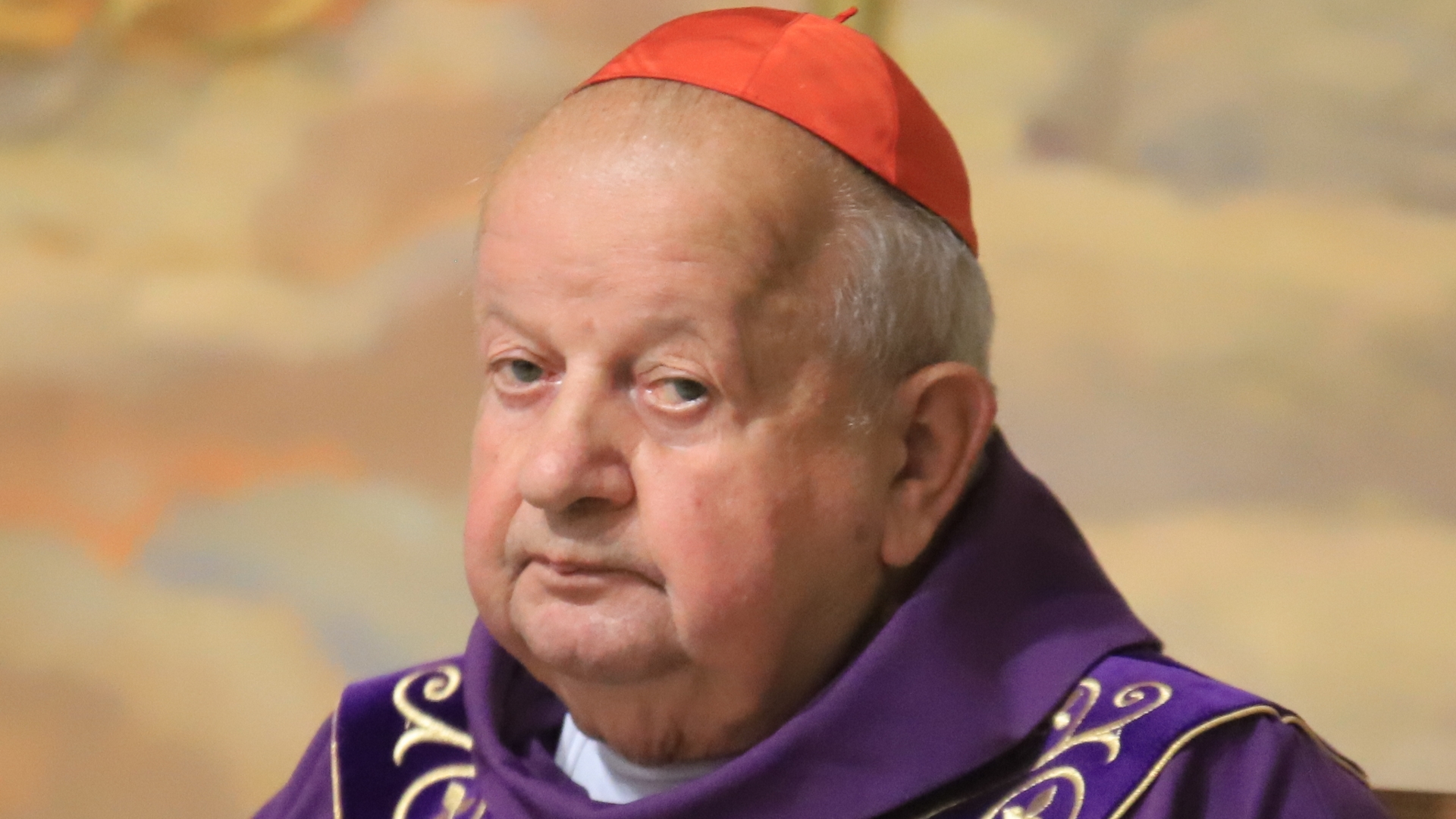 Il cardinale Dziwisz. Foto: cath.ch.