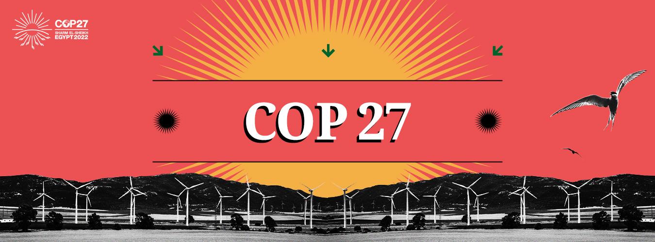 Il logo di Cop27